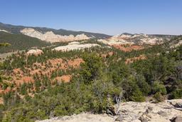 East fork red canyon looking east [sun aug 31 13:51:55 mdt 2025]